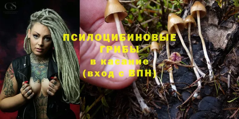 Галлюциногенные грибы Magic Shrooms  omg сайт  Вологда 